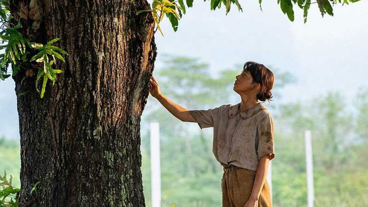 マンゴーの樹の下で〜ルソン島、戦火の約束〜