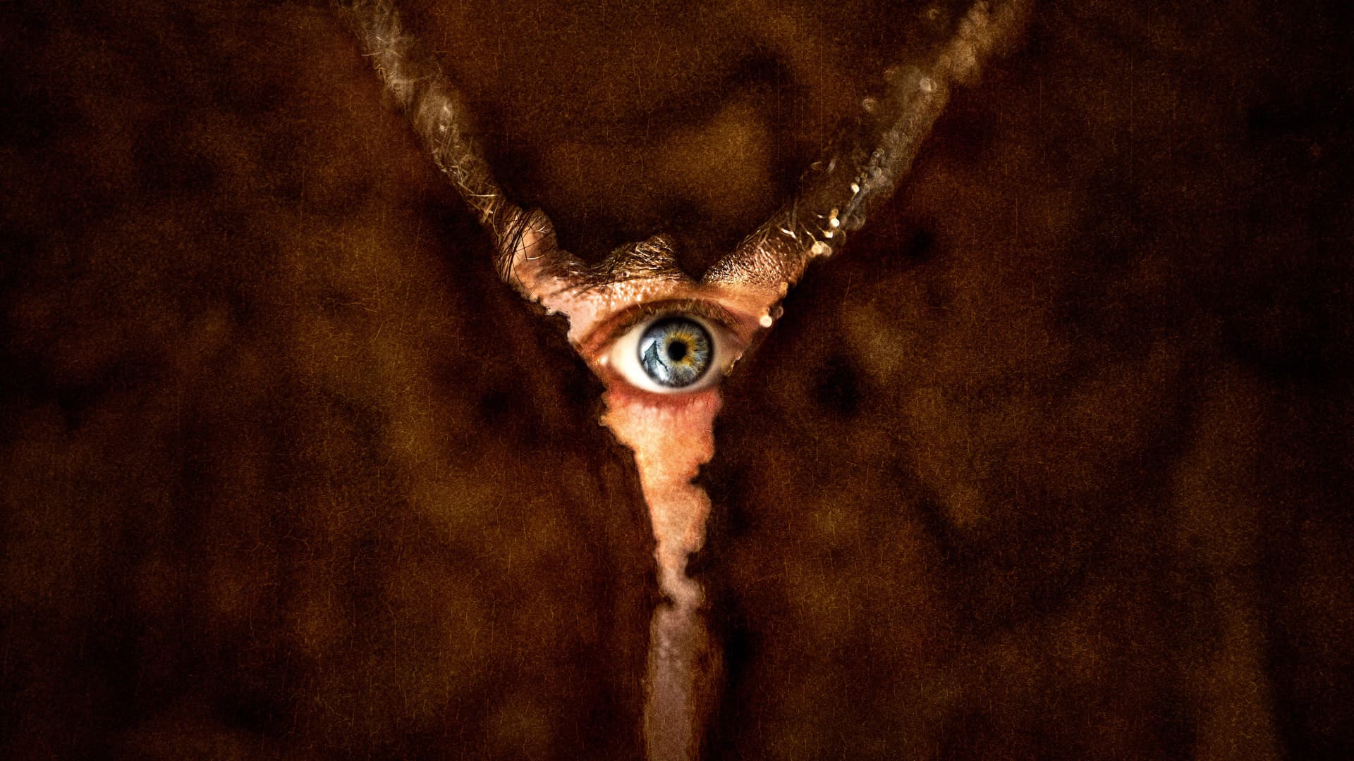 Silent Hill: Întoarcerea în iad