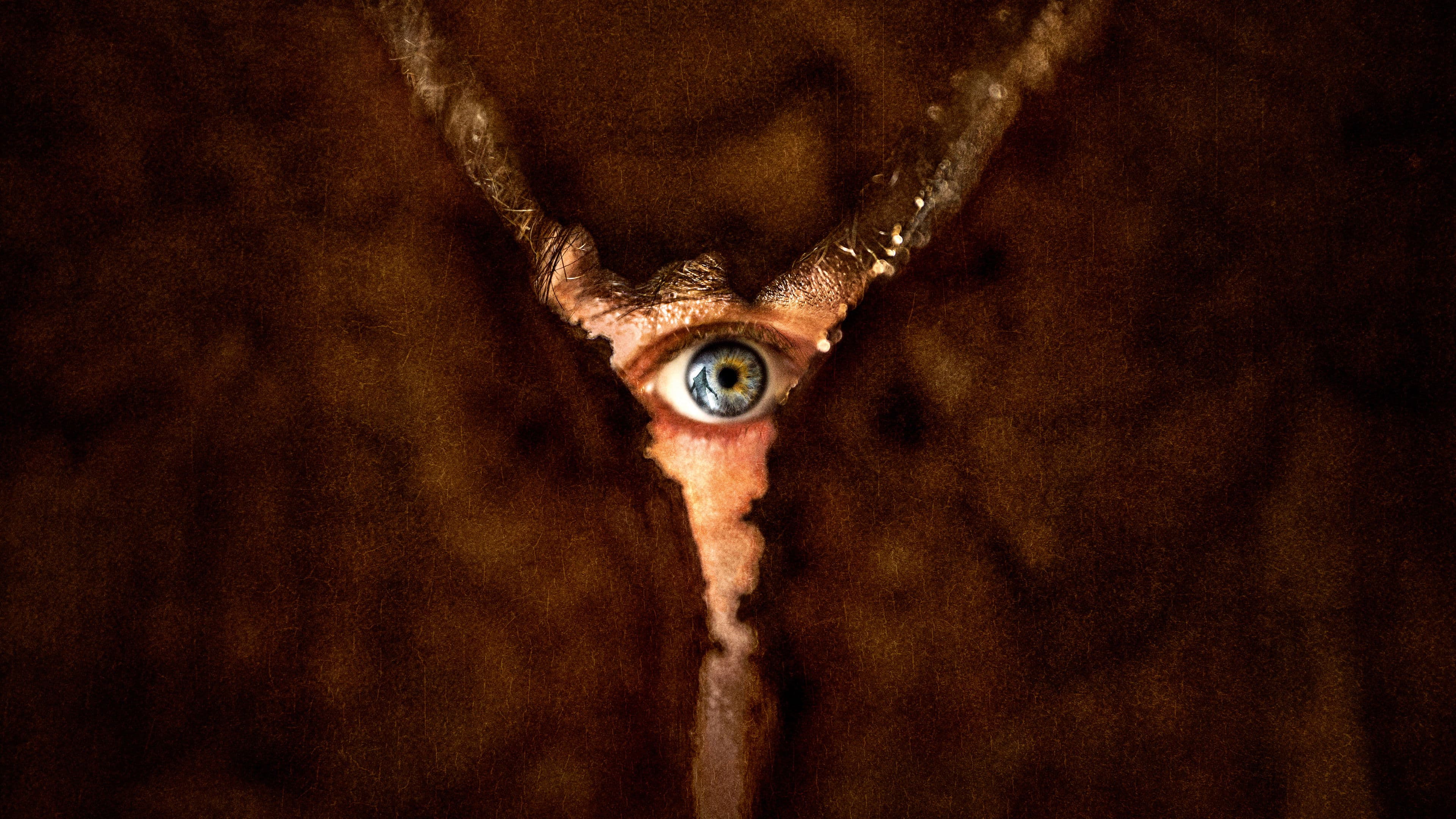 Silent Hill: Întoarcerea în iad