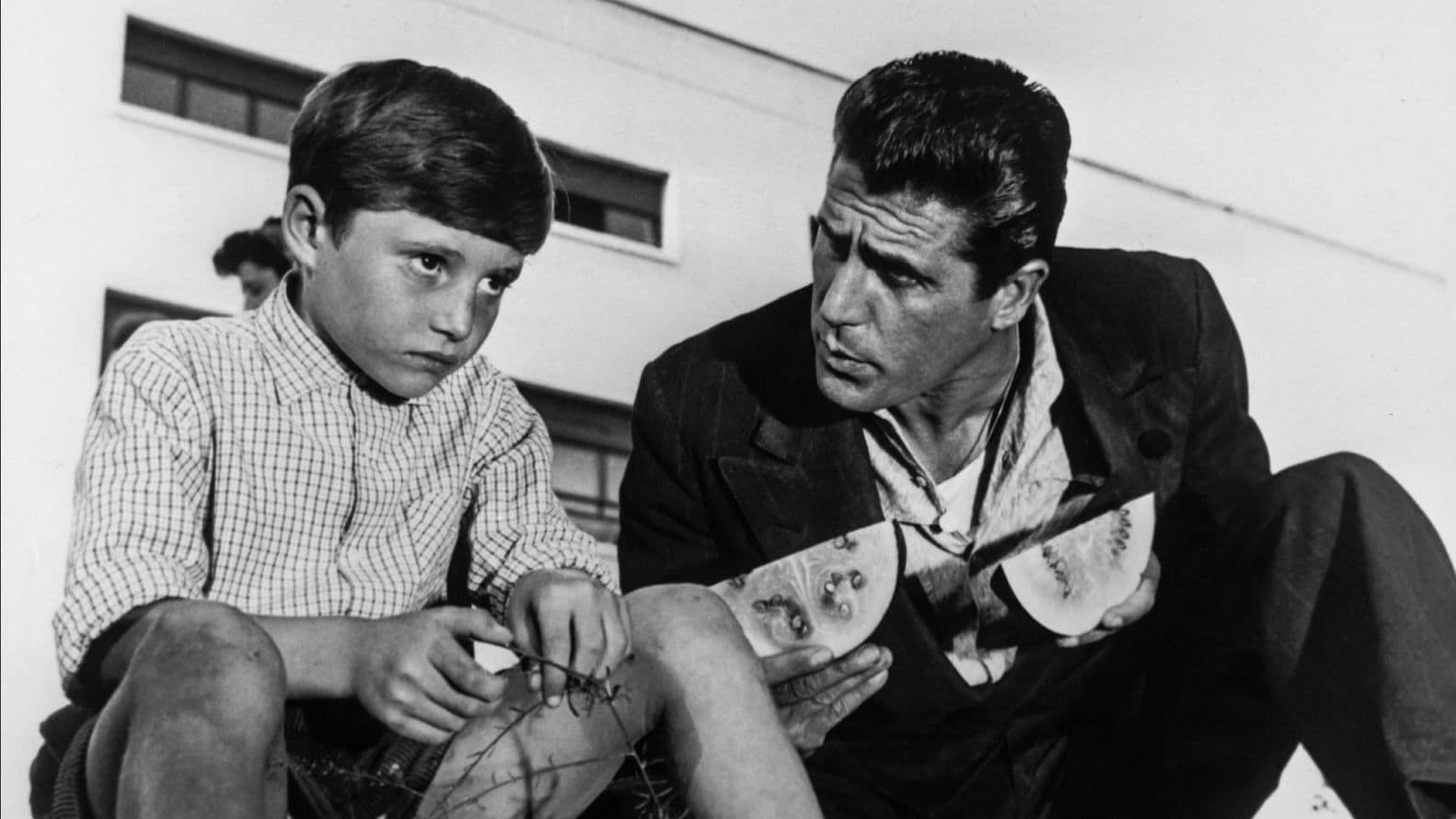 La finestra sul Luna Park