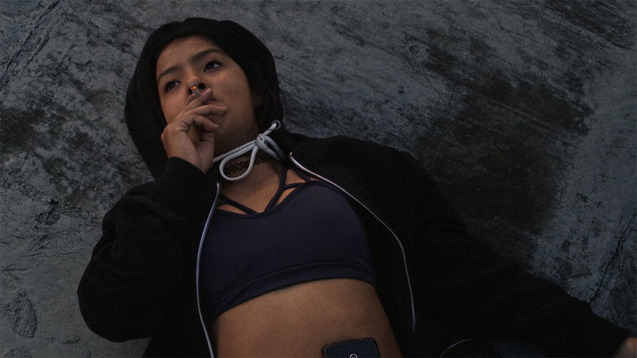 La noche resplandece