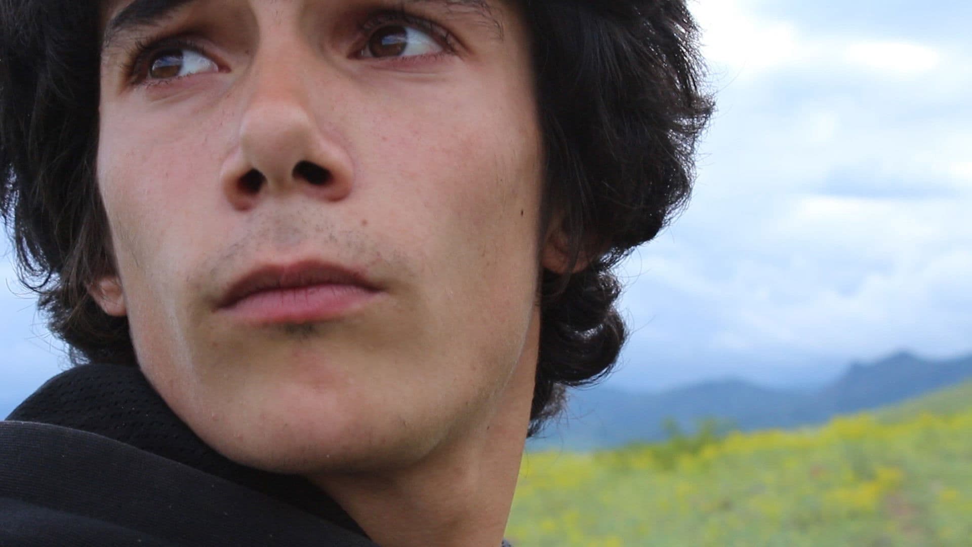 მე არ მაქვს ფრთები