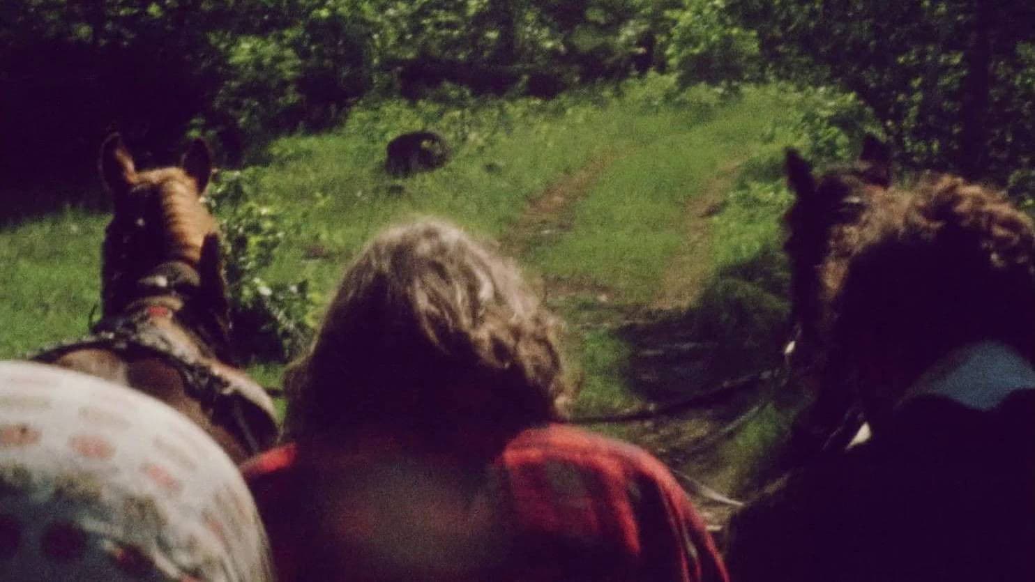 Everything Everywhere Again Alive