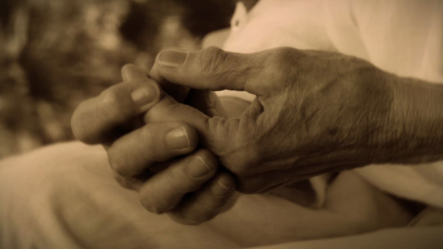 Avec le vent et les feuilles