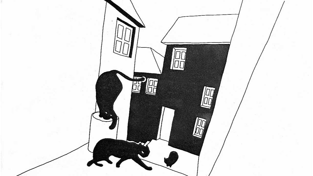 Estória do Gato e da Lua