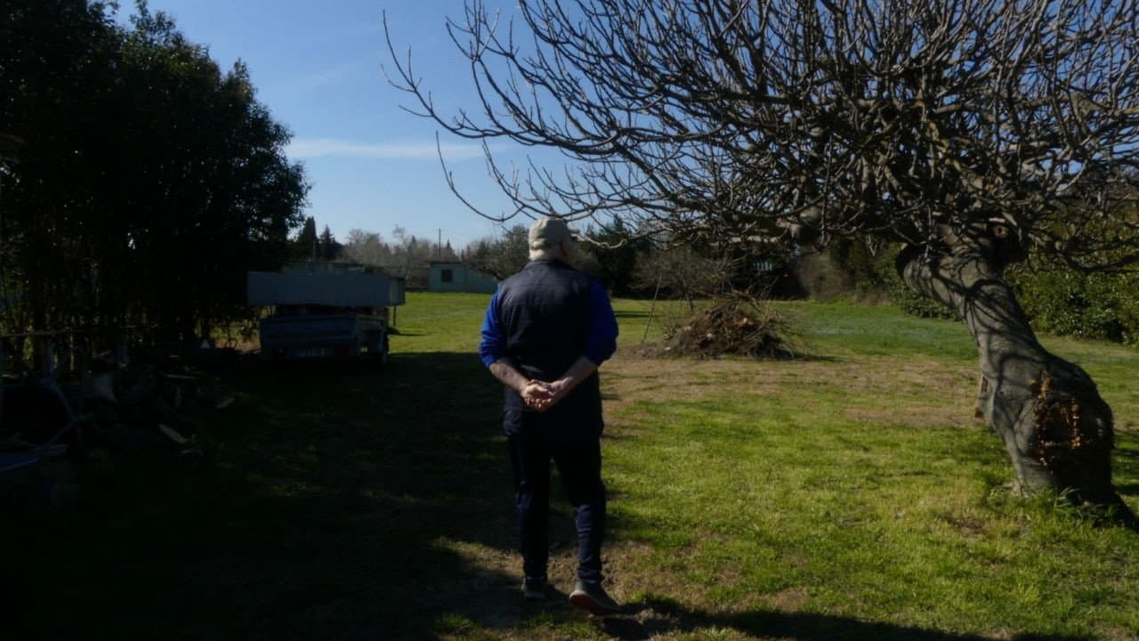 Aramon, qui l'a vu qui le voit