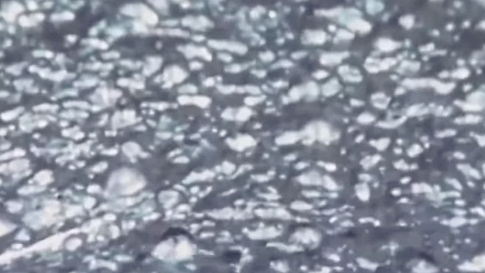 Saint-Étienne : ville secrète