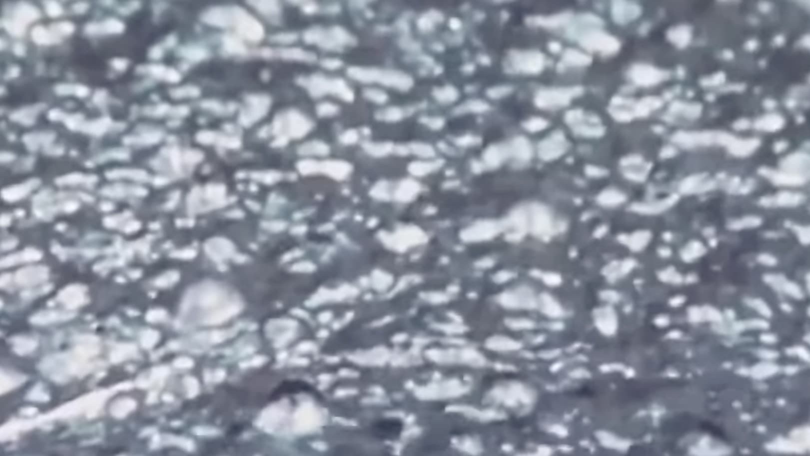 Saint-Étienne : ville secrète