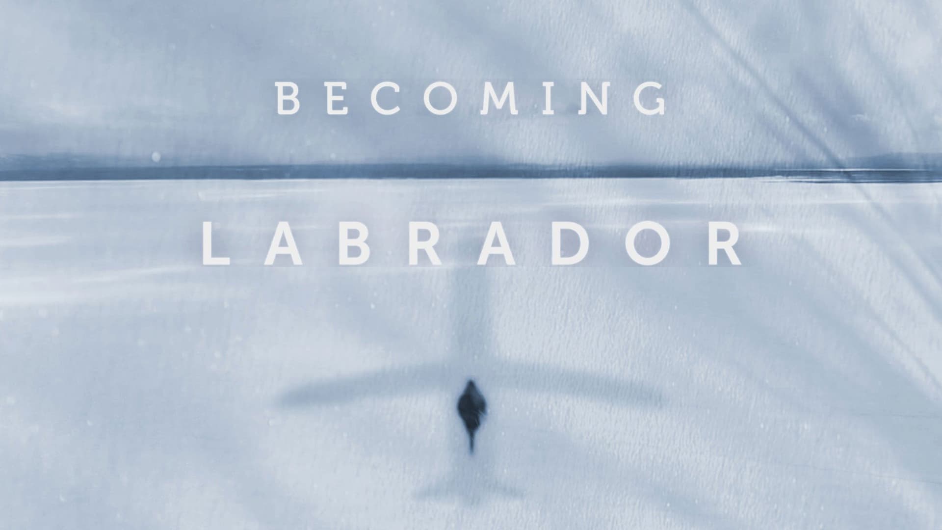 Becoming Labrador