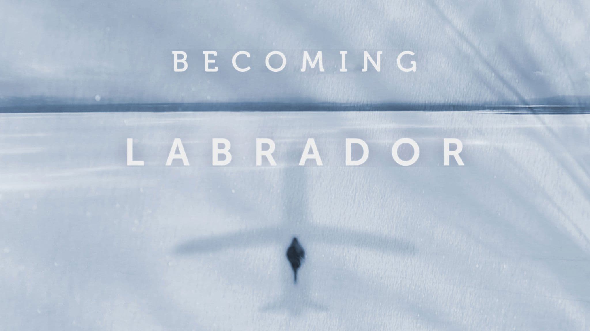Becoming Labrador
