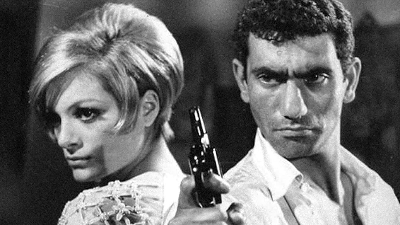 At Hırsızı: Banuş