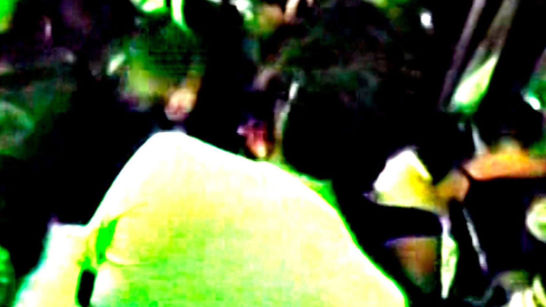 Meu Amigo Pedro Mixtape