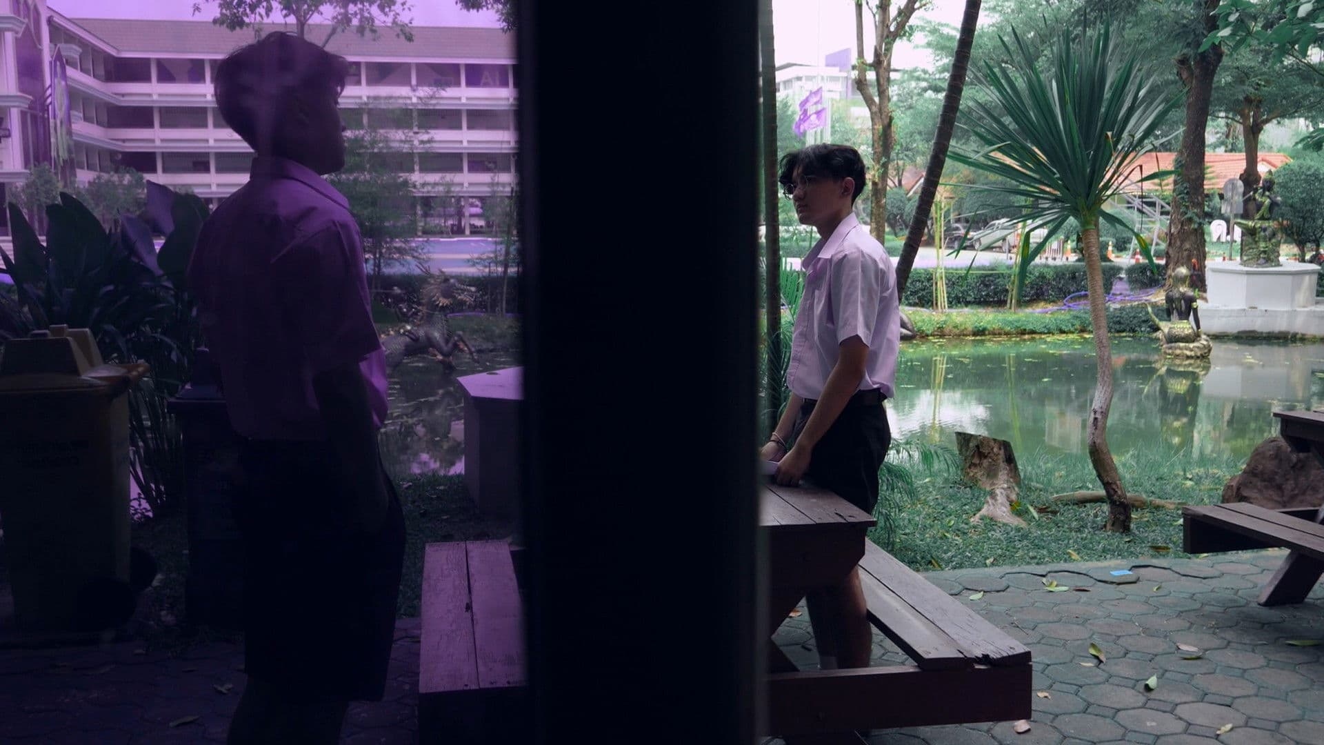 ความลับในฝูงนก