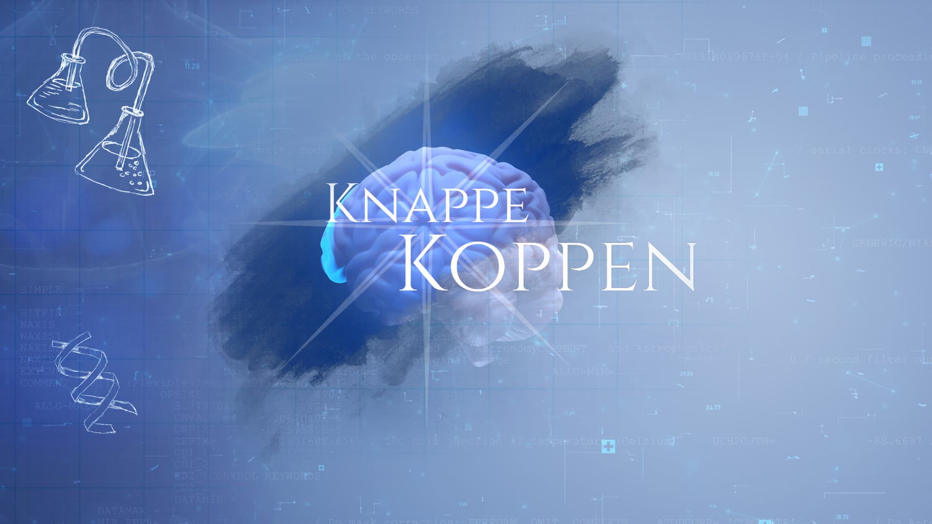 Knappe Koppen