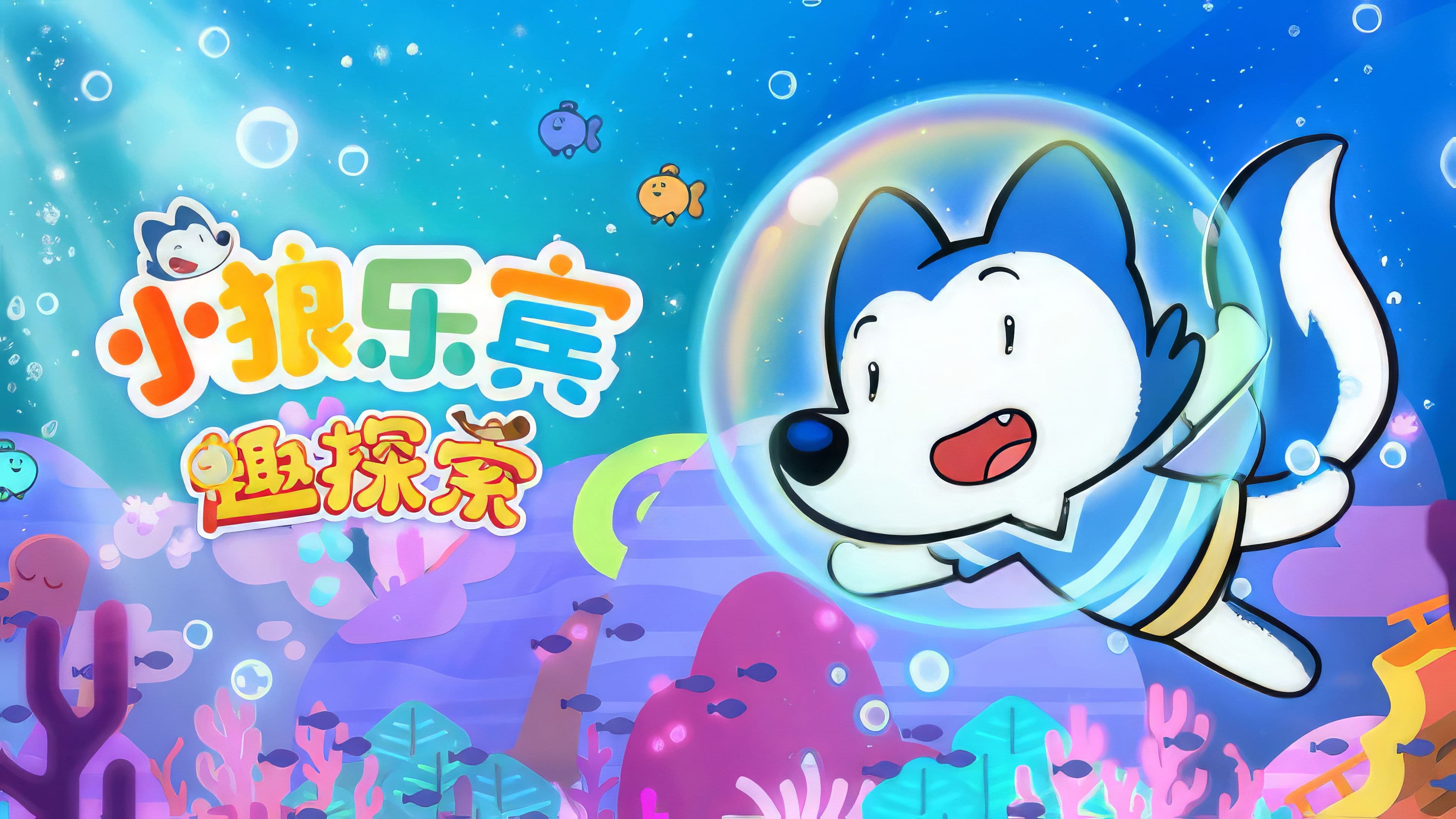 小狼乐宾 趣探索