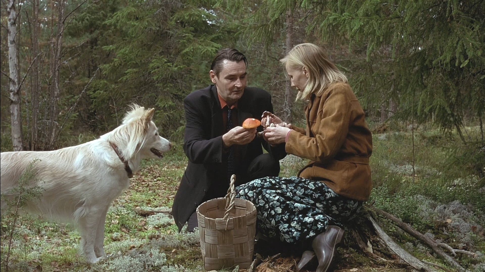 Mies vailla menneisyyttä