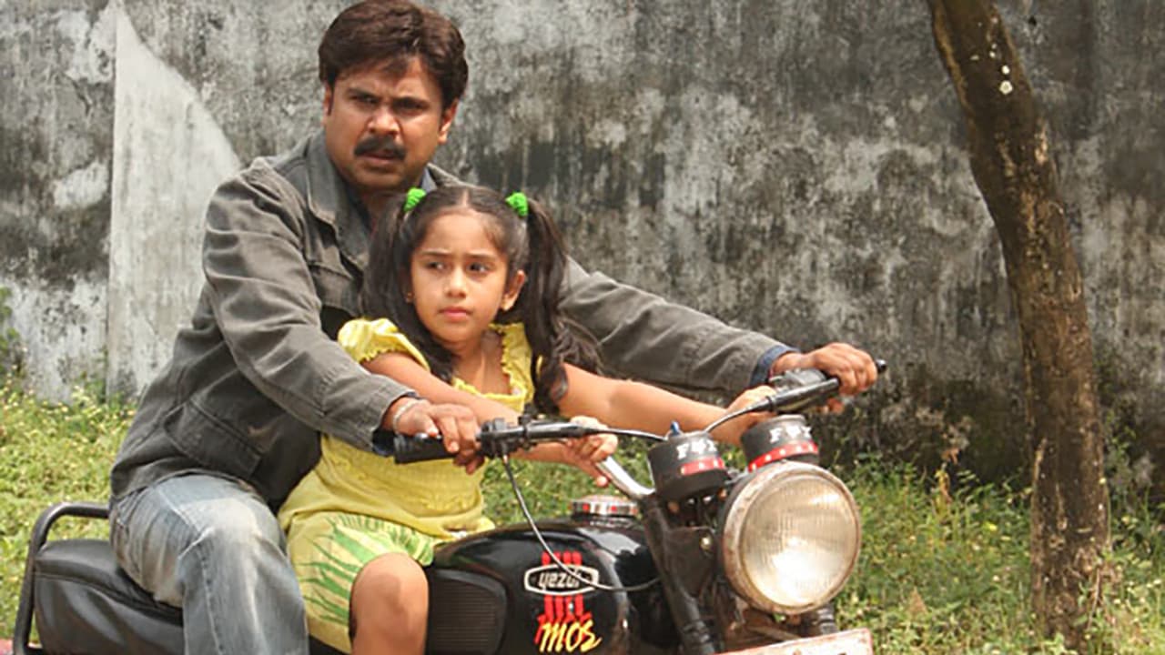 മോസ് & കാട്