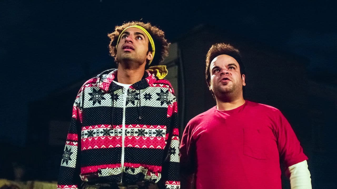 Doi frați nepricepuți