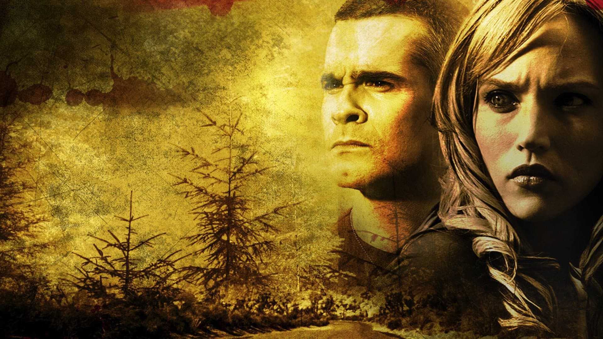 Drum interzis 2: Fundătura