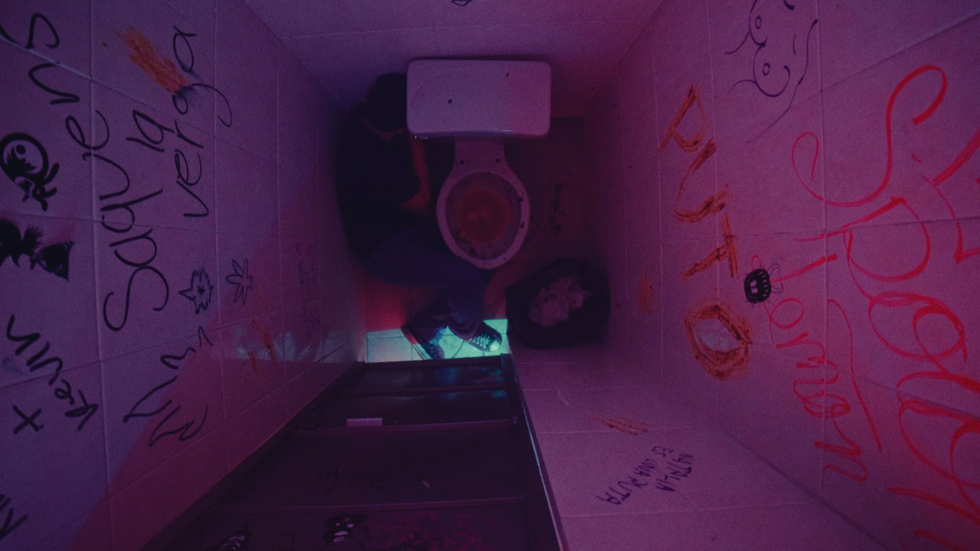 Historia de una Bolsa de Basura