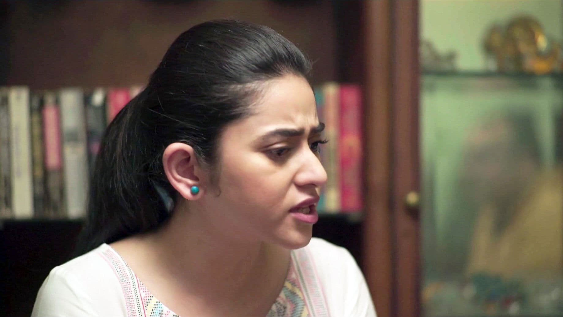 জামাই এল ঘরে