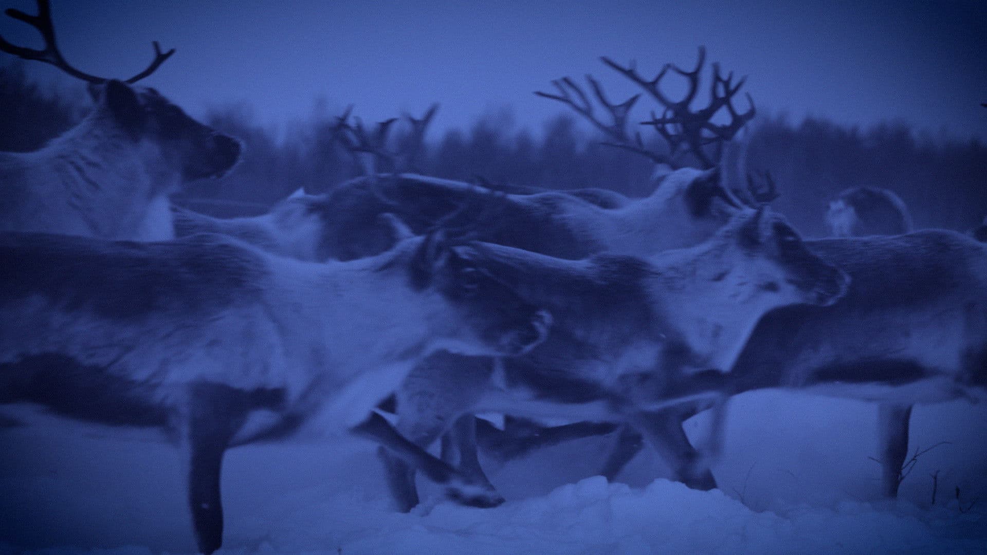 Same Plane Terrain & In Ran Cram