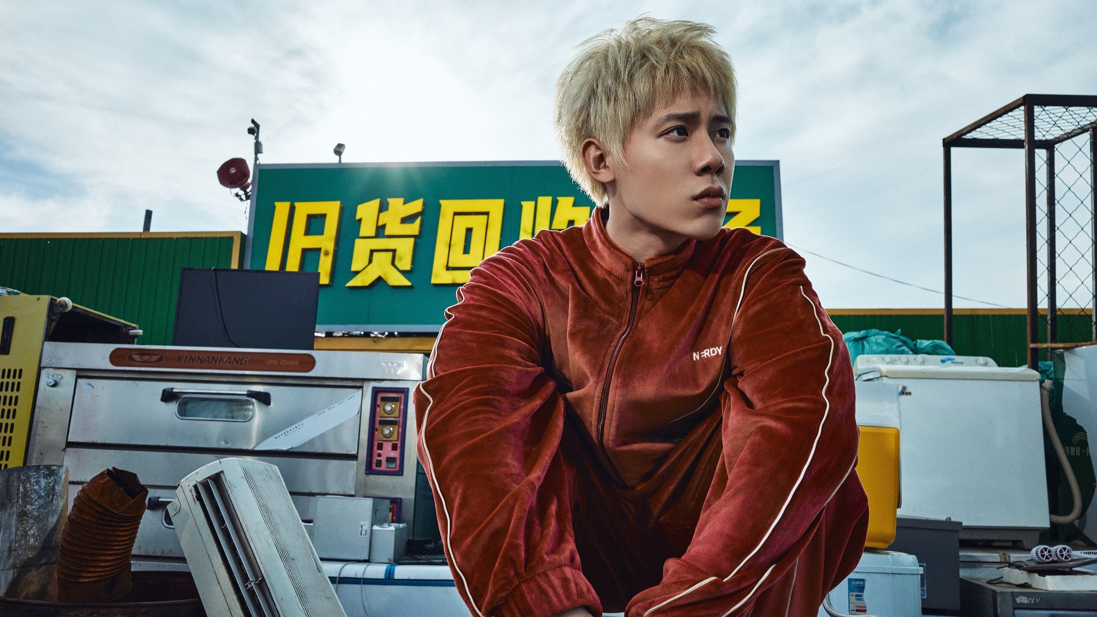 苍茫的天涯是我的爱