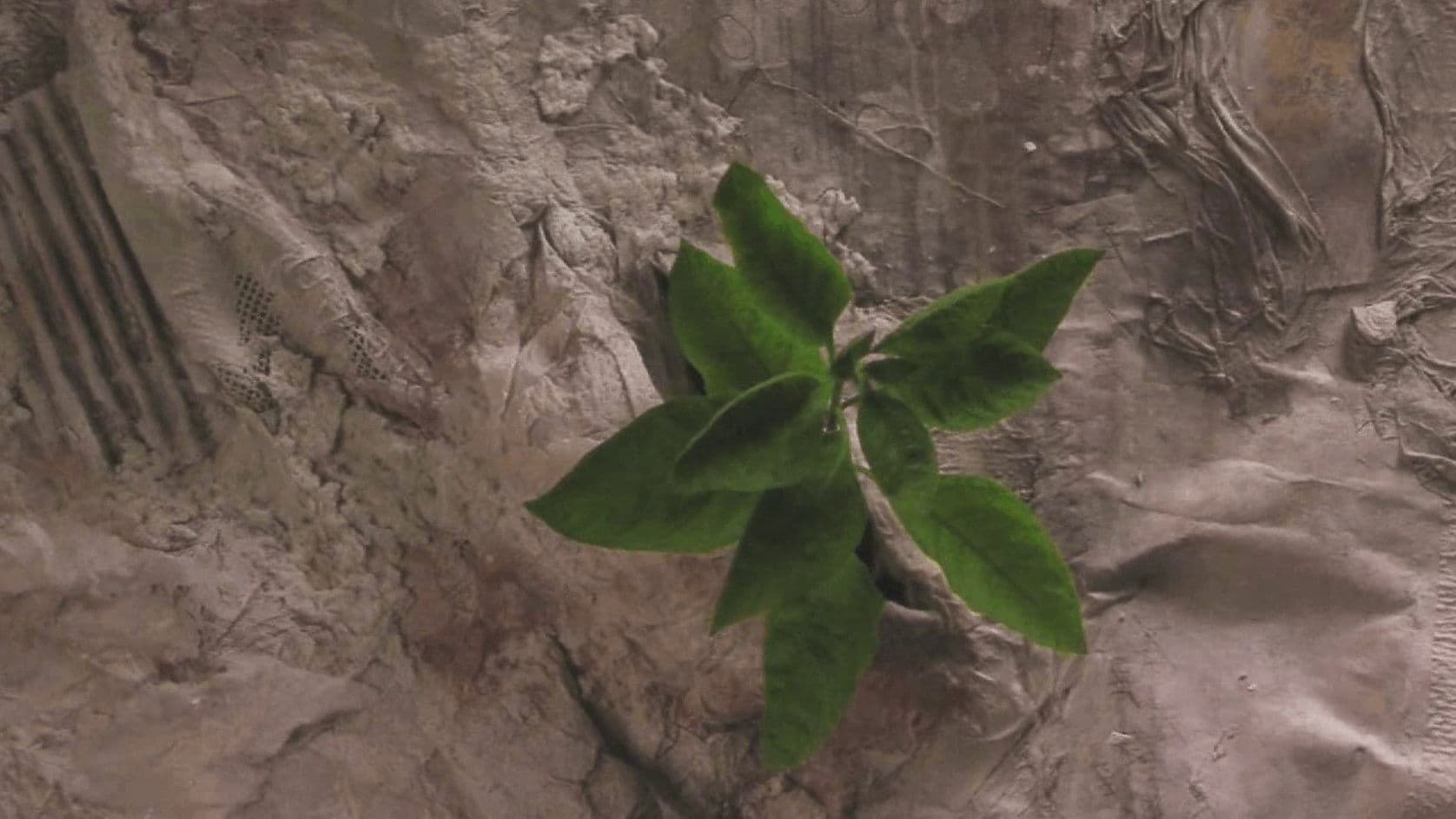 o.μικρόν Ω.μέγα