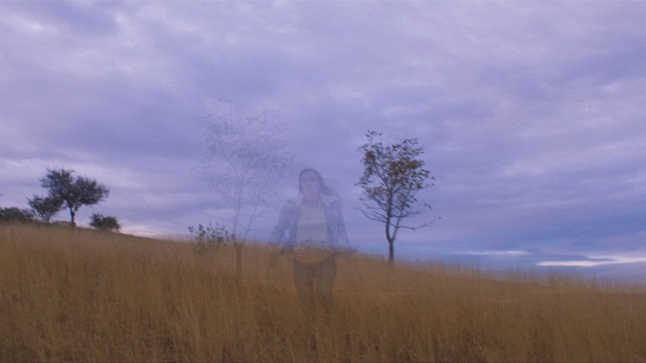 Traigan de vuelta al tigre