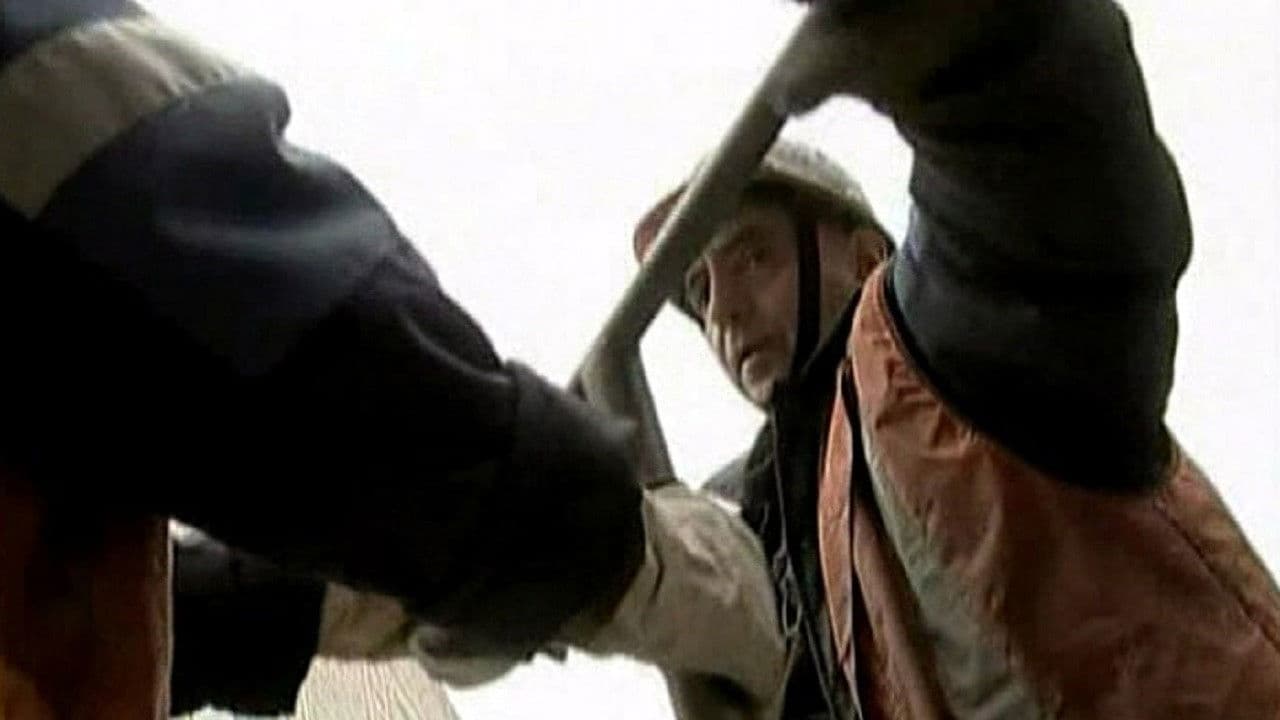 Весёлый сантехник