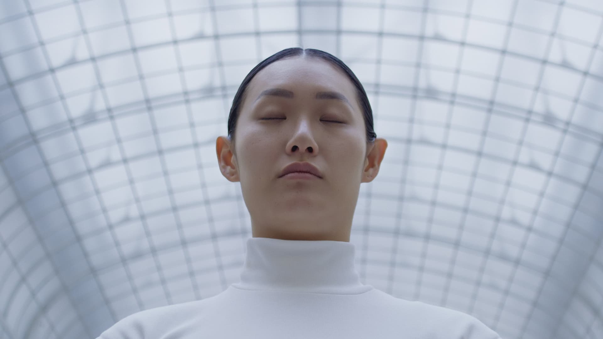 Memory of a Mycelium