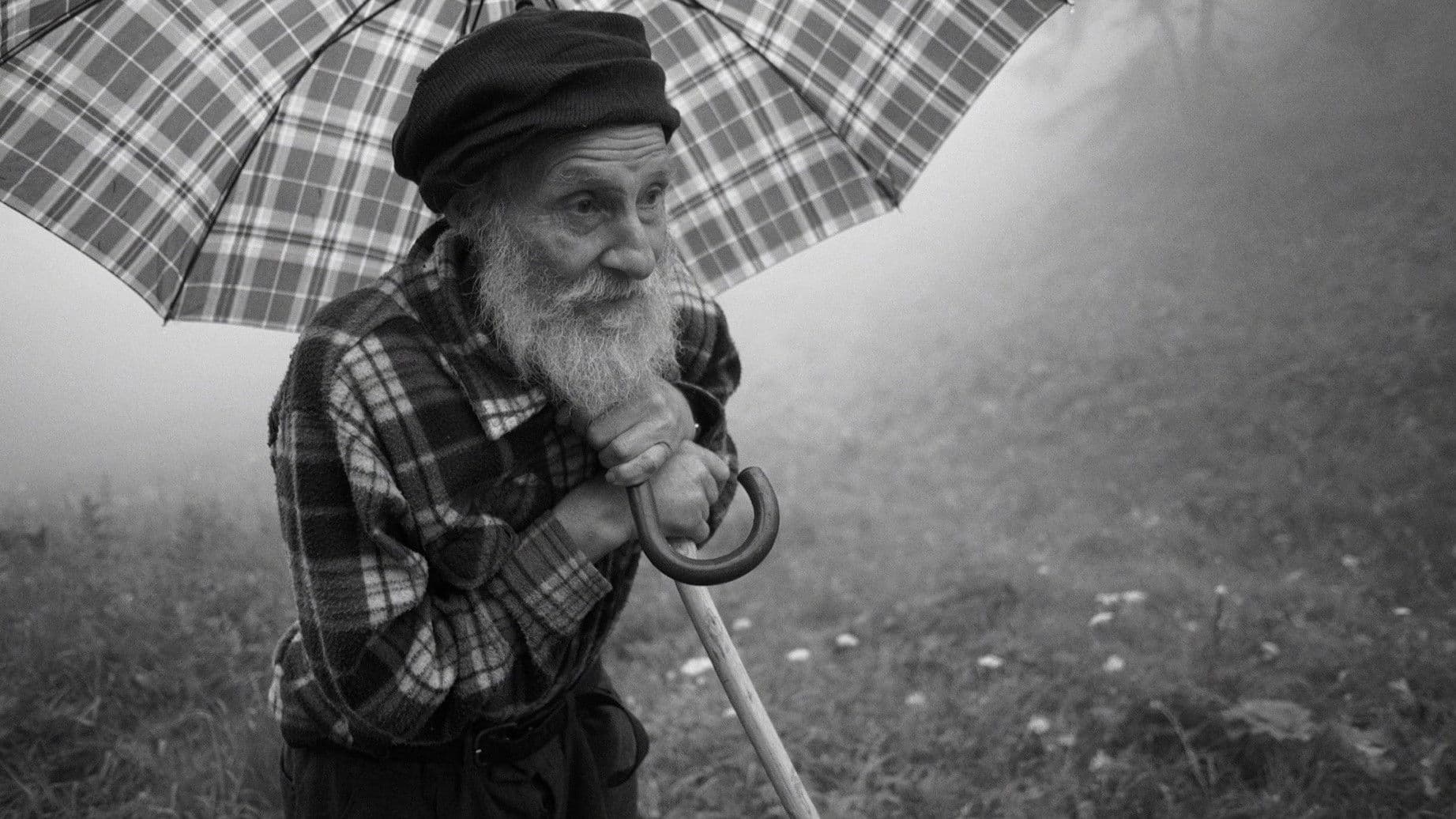 Sotto le stelle fredde