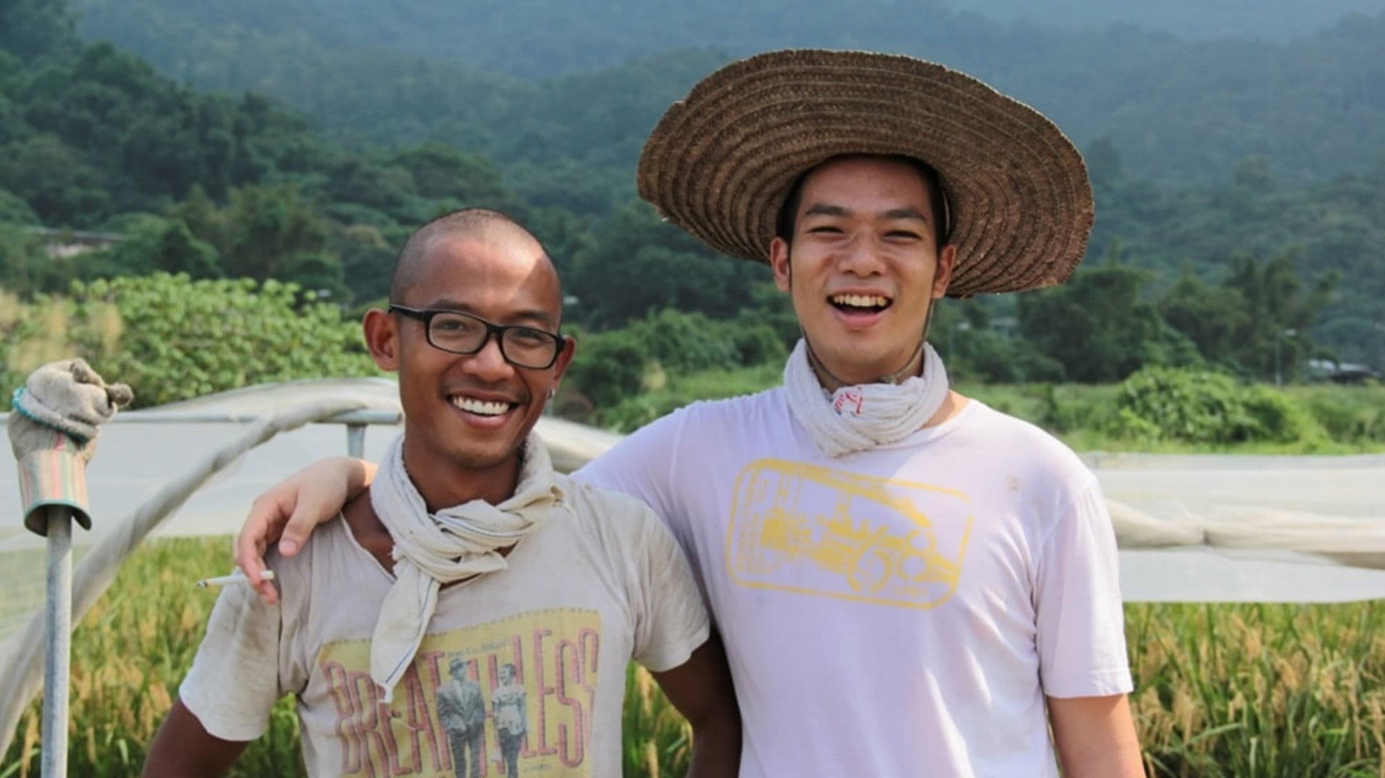 稻米是如何鍊成的