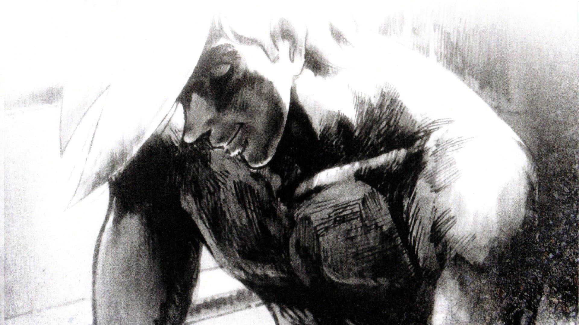 劇場版 あしたのジョー2