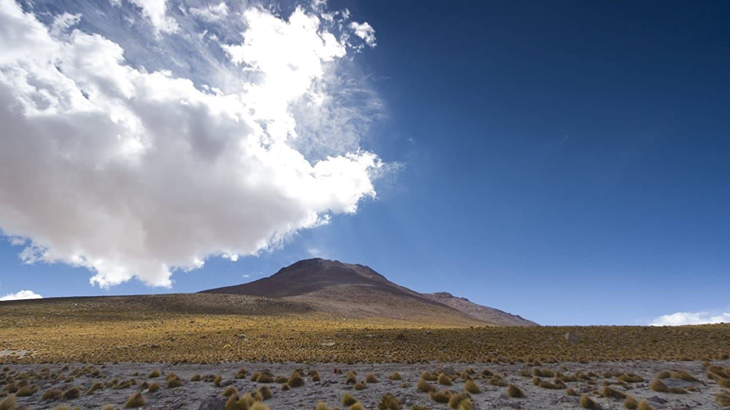 Wildes Lateinamerika