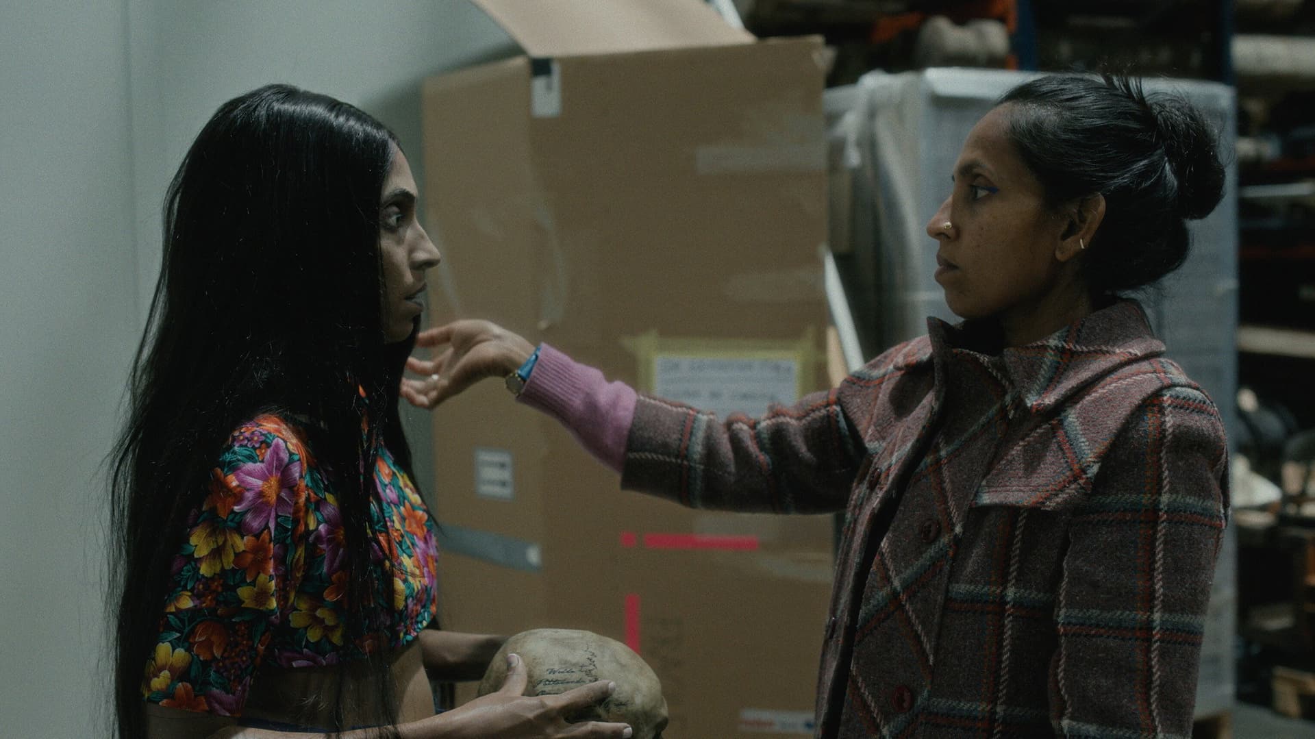 Elephants & Squirrels