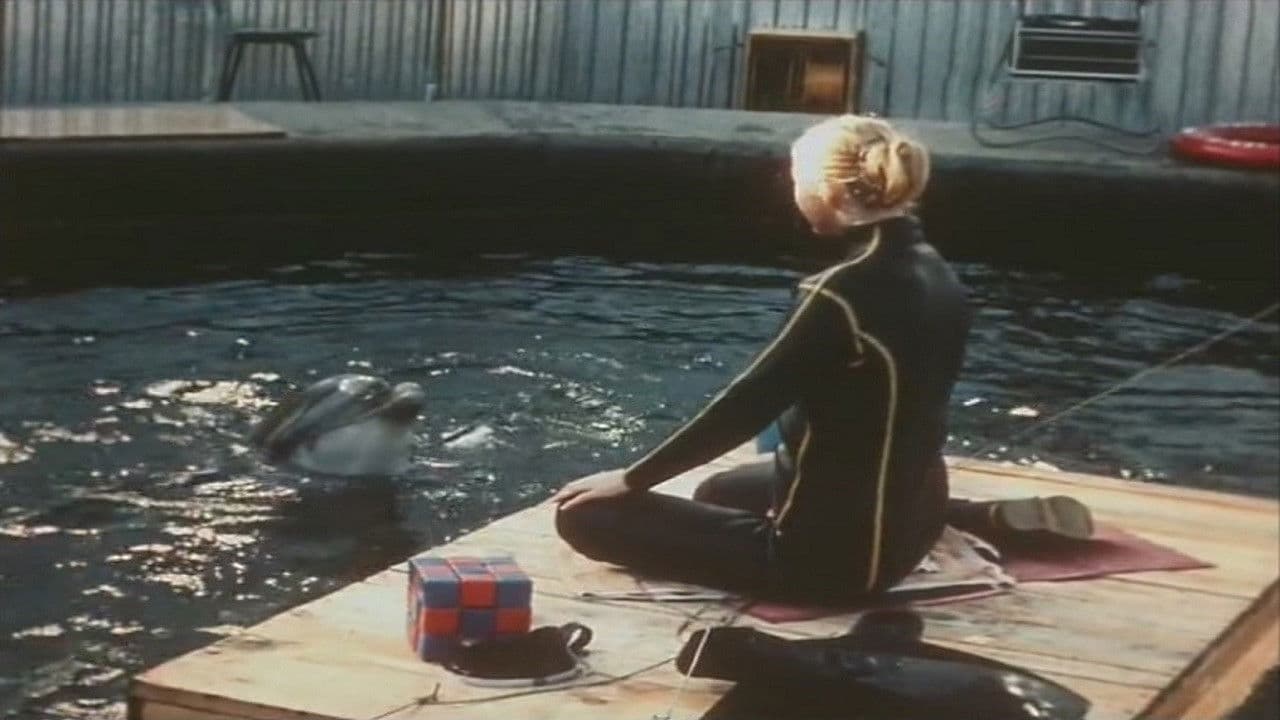 Люди и дельфины