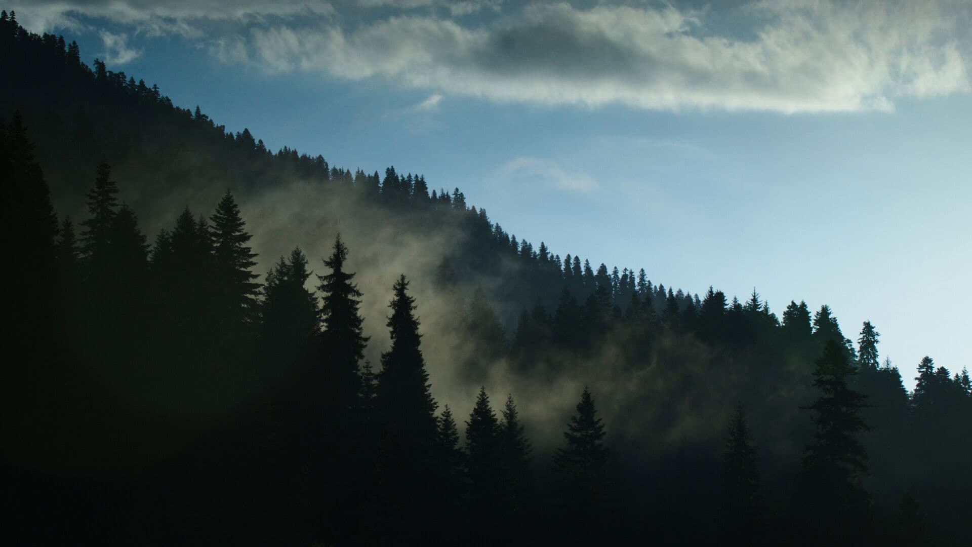 გულისხმა