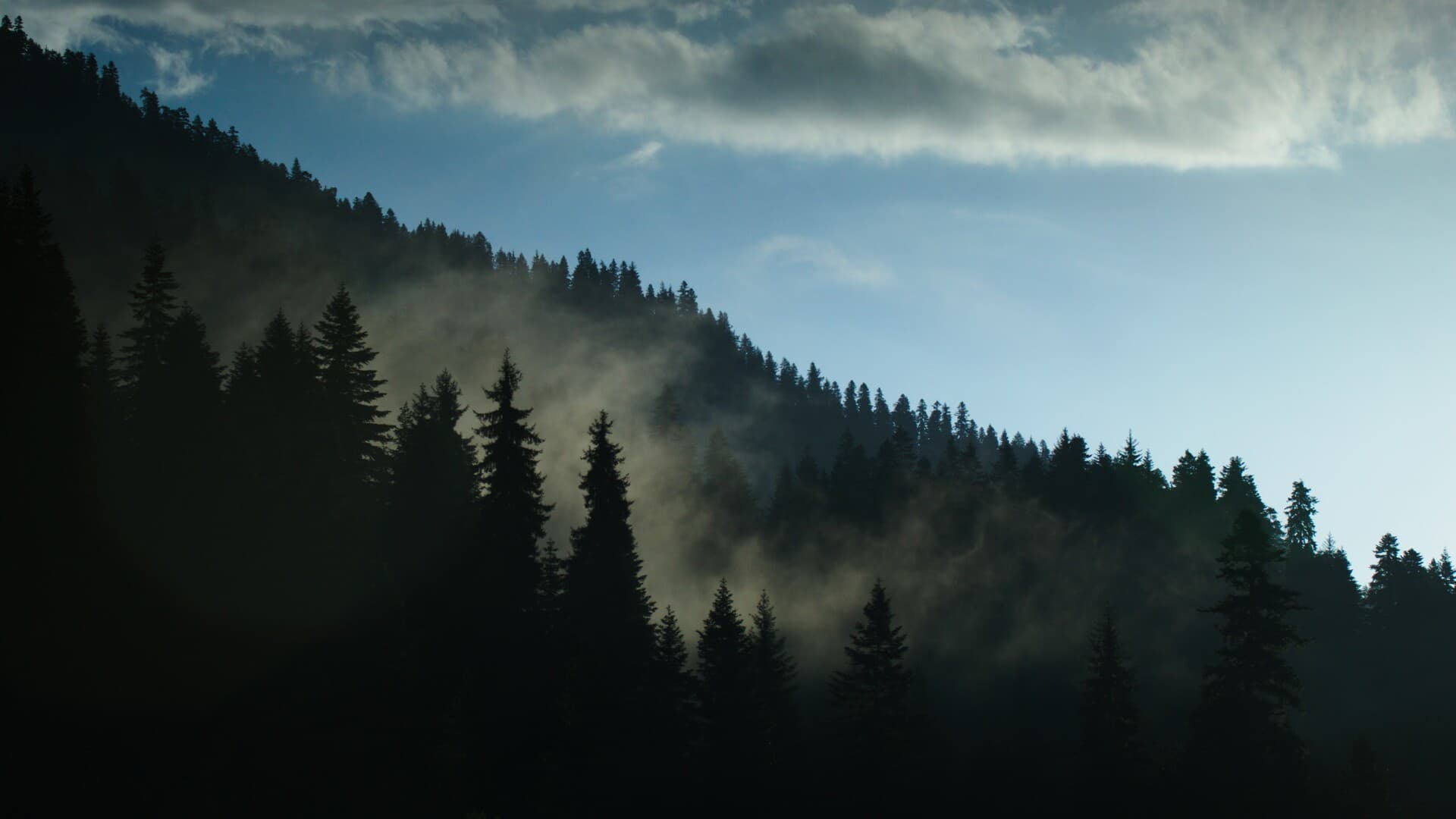 გულისხმა