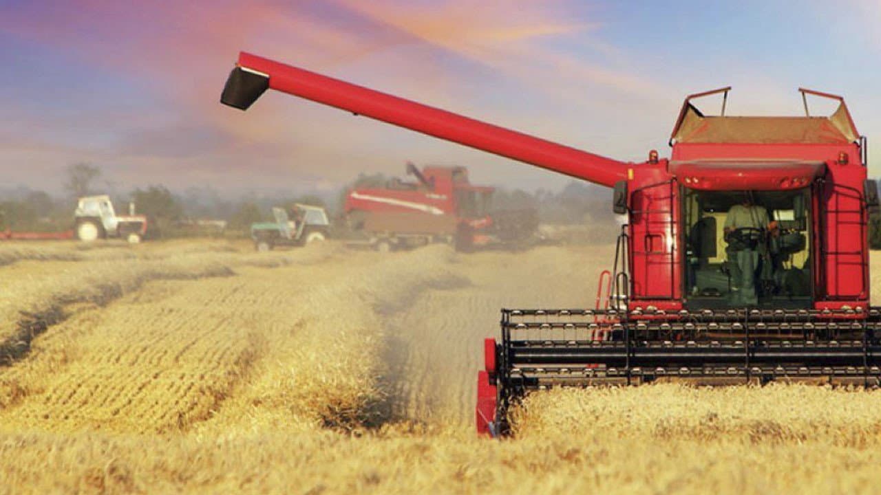 Agrobiznes