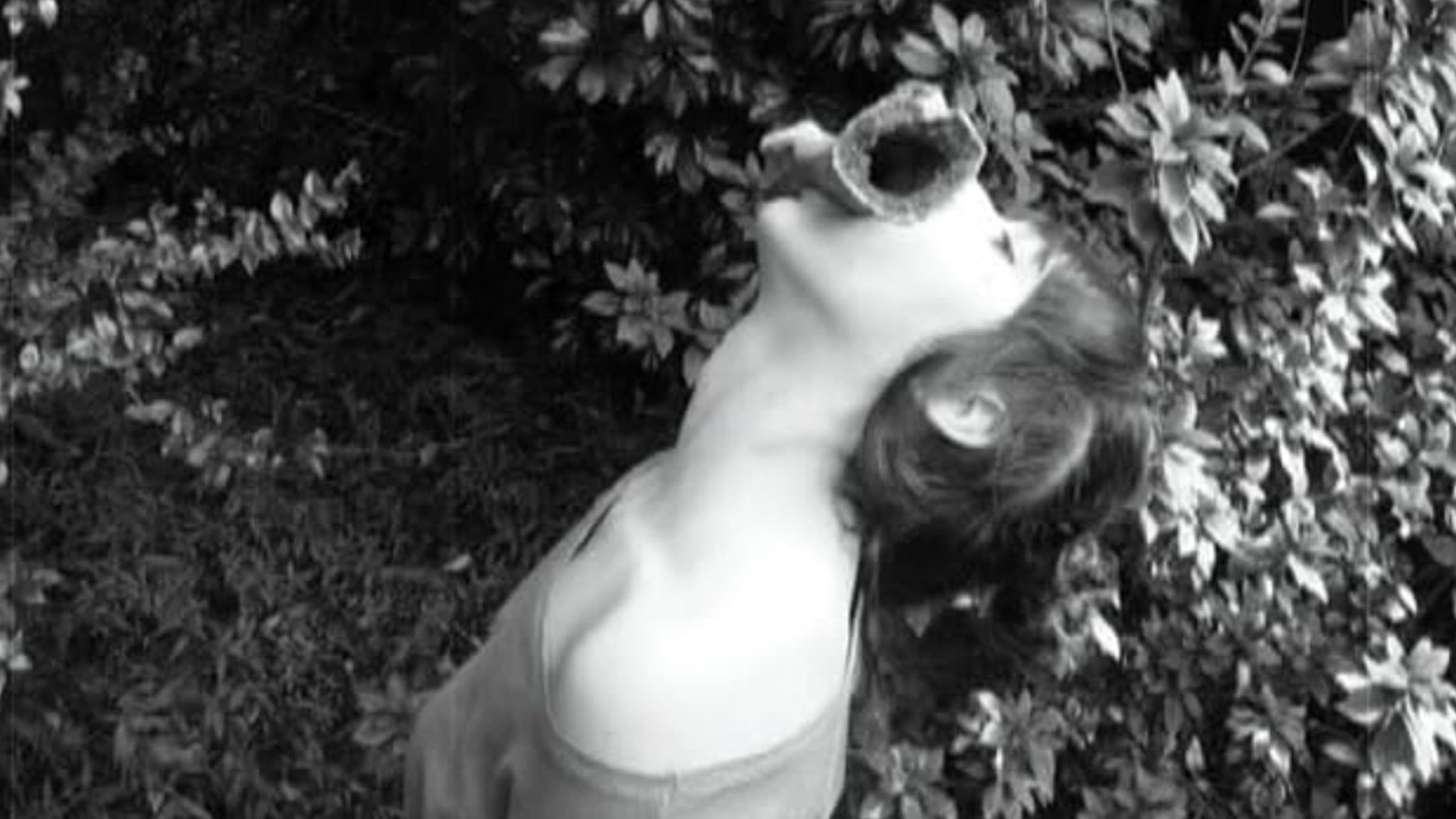 How to Irritate Hardcore Dandies