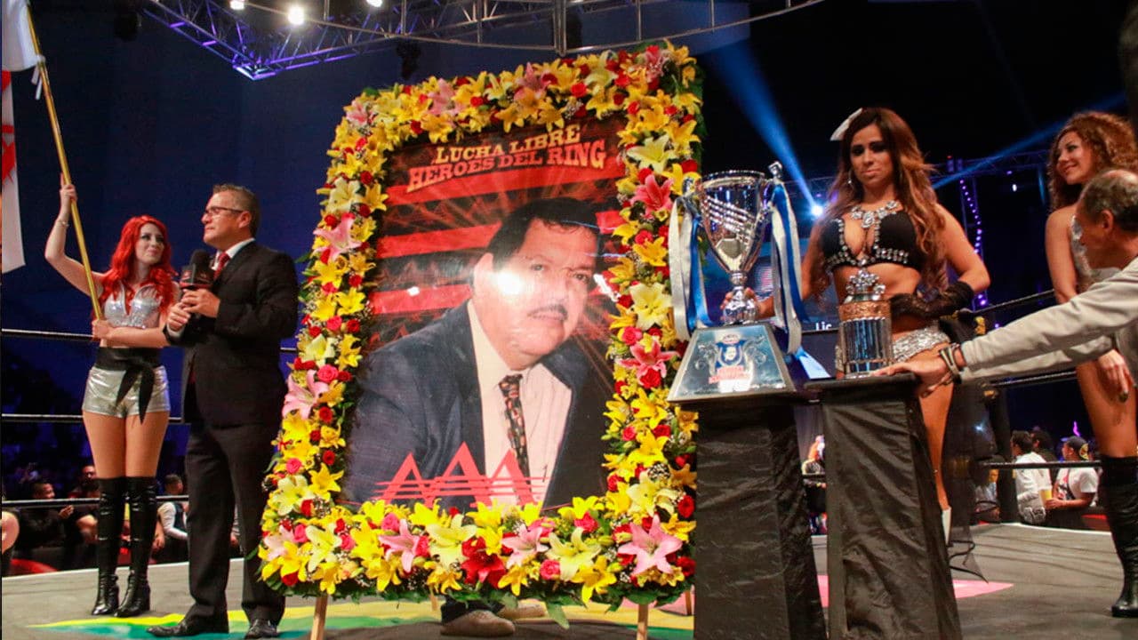 AAA Héroes Inmortales XII