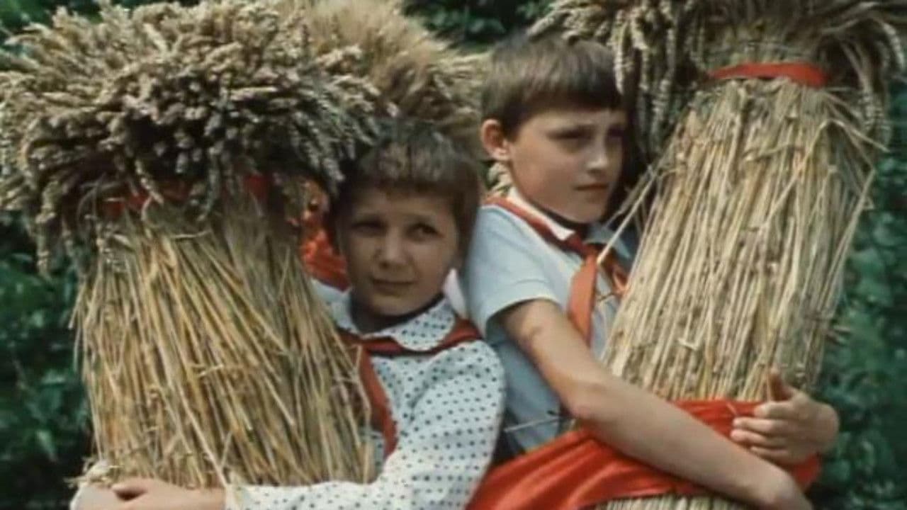 Найди свой дом