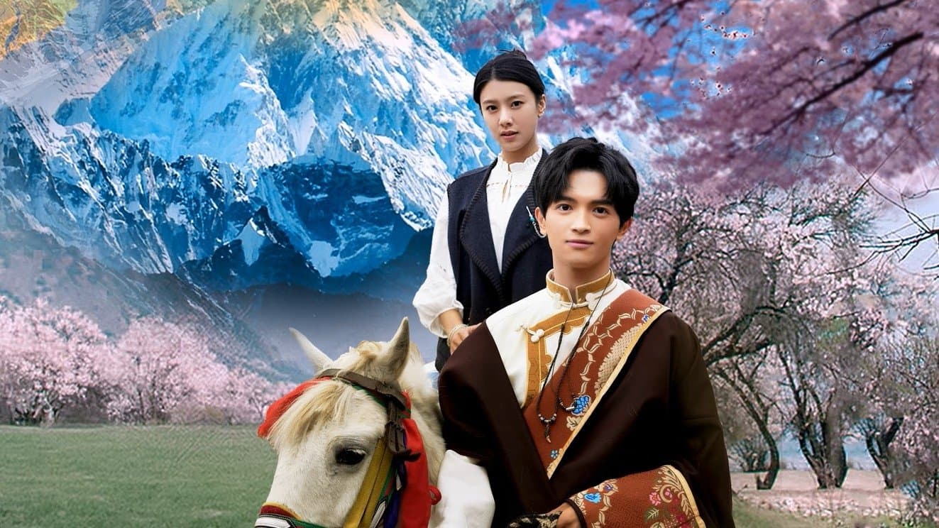 去桃花盛开的地方