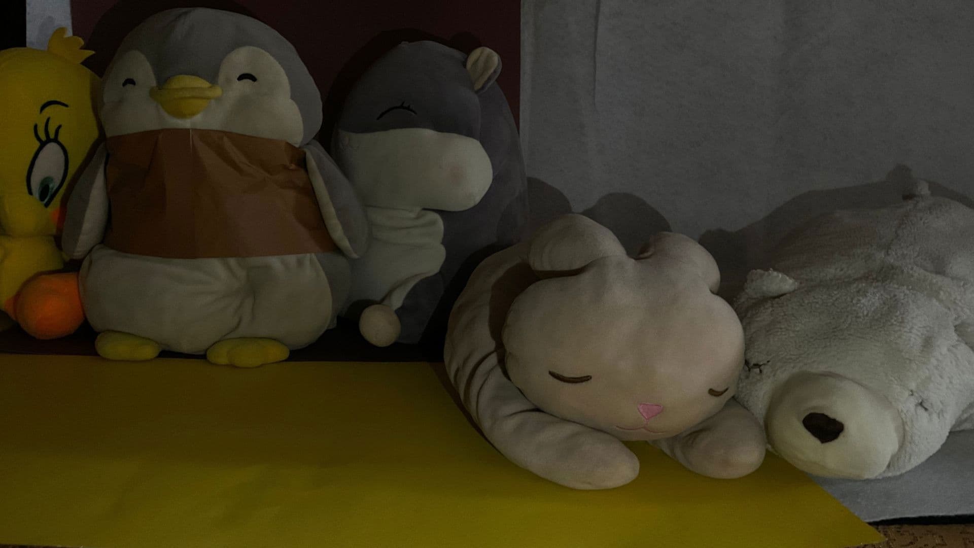 The Impossible Case: Final Look