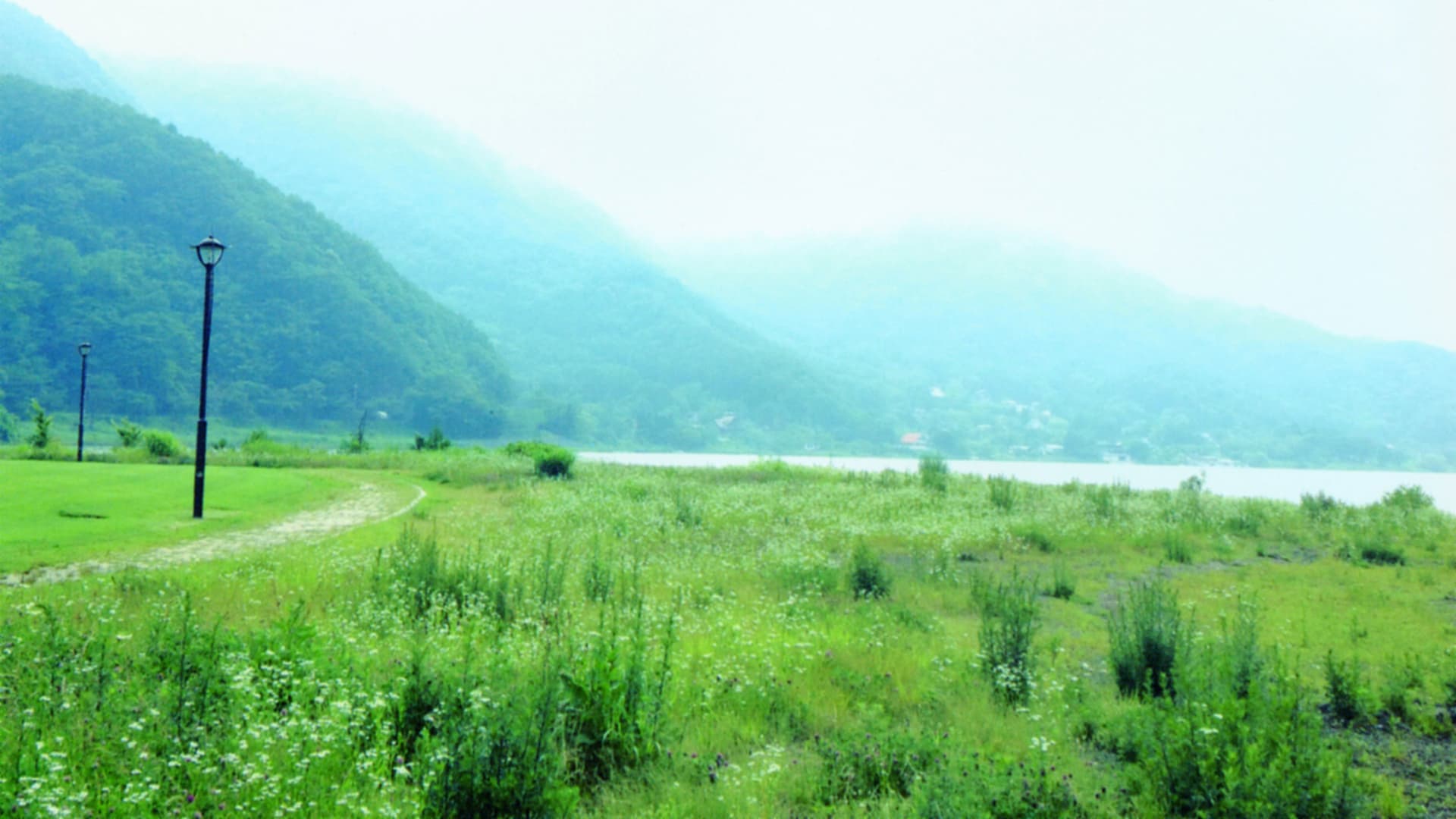 モーニング娘。'14 道重さゆみ 卒業メモリアル