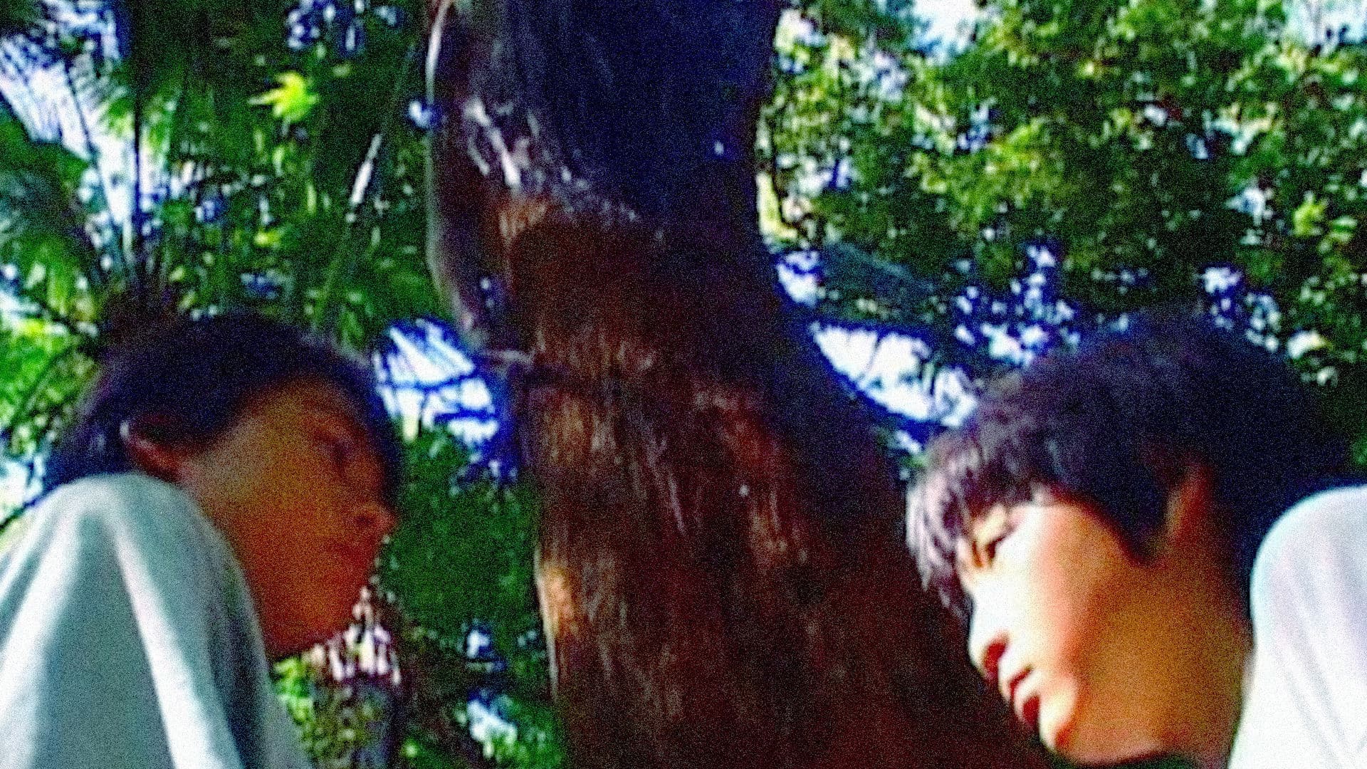 だるまさんがころんだ