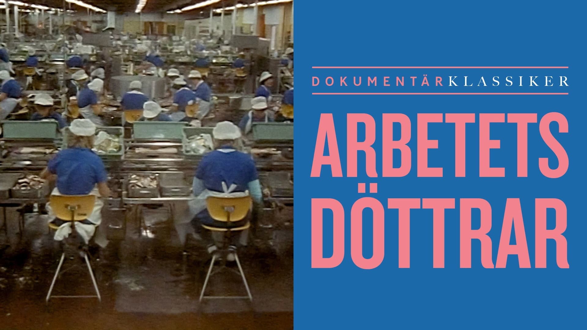 Arbetets döttrar: kvinnor i två fabriker