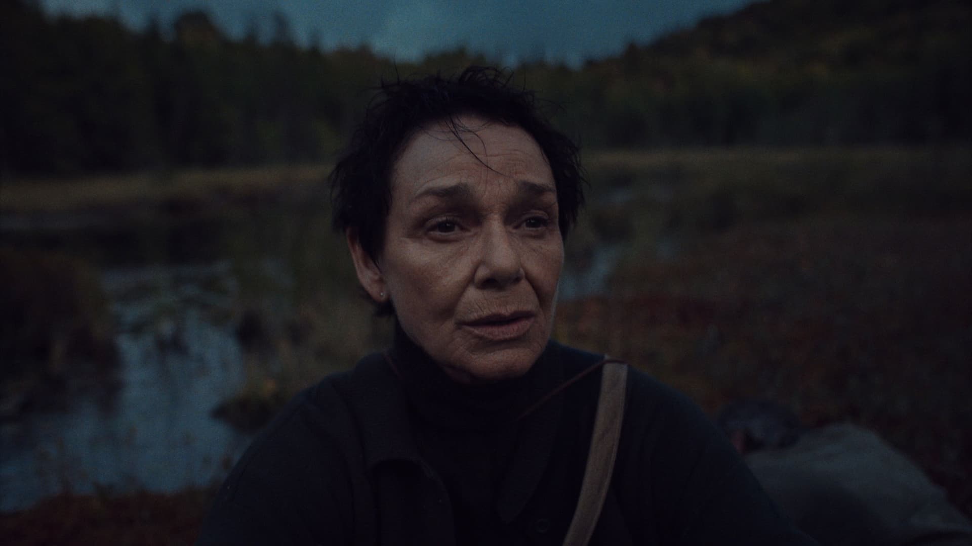 Mon fils ne revint que sept jours