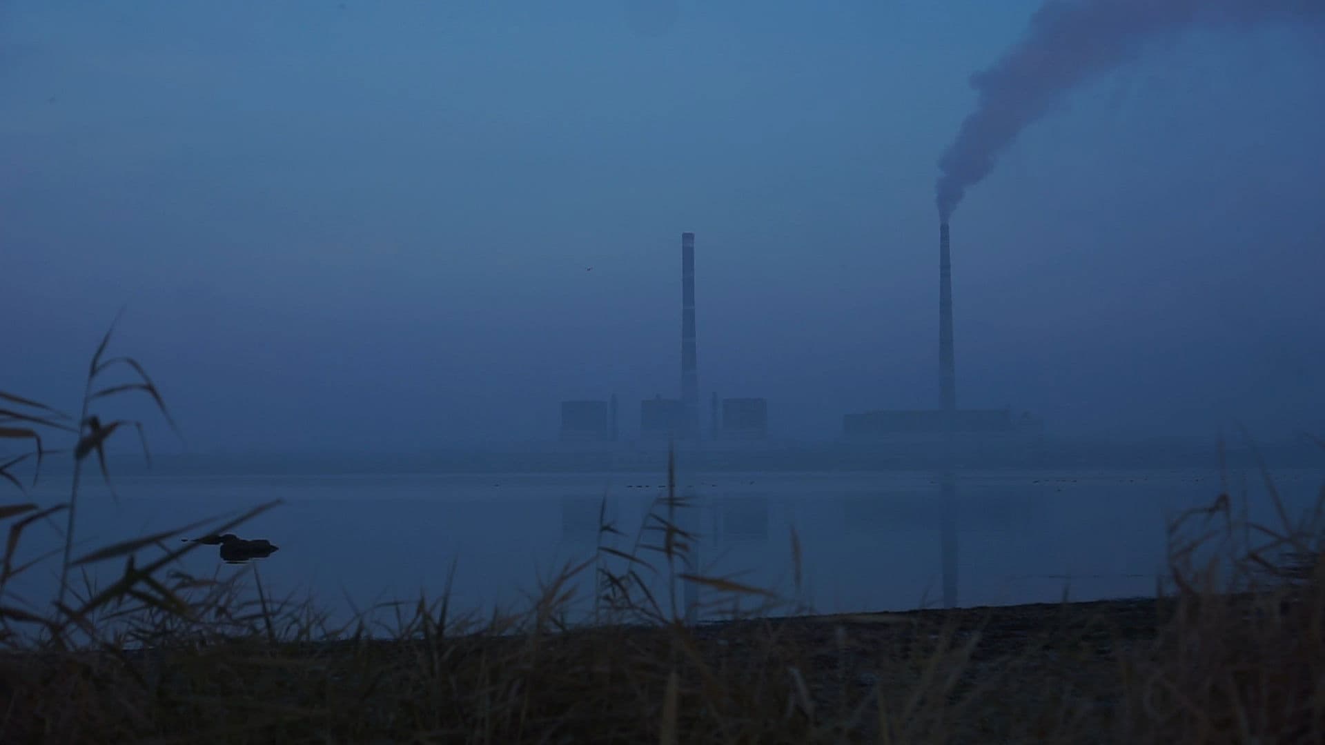 Світлода́рськ